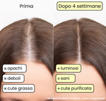 SEVENGREEN - SHAMPOO SOLIDO